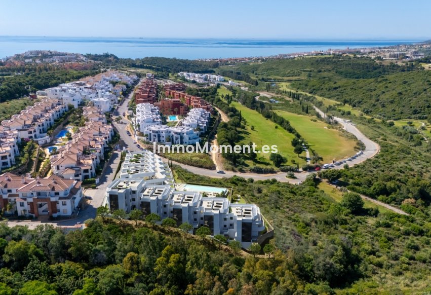 Construction neuve - Penthouse - Casares