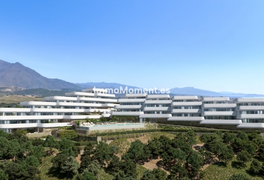 Construction neuve - Penthouse - Casares