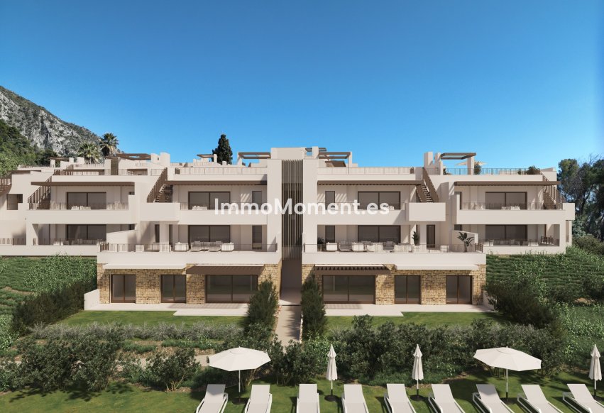 Construction neuve - Penthouse - Intérieur                       - Istán