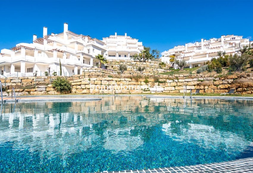 Construction neuve - Penthouse - Marbella