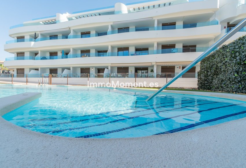 Construction neuve - Penthouse - Orihuela Costa