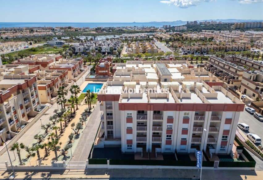 Construction neuve - Penthouse - Orihuela Costa