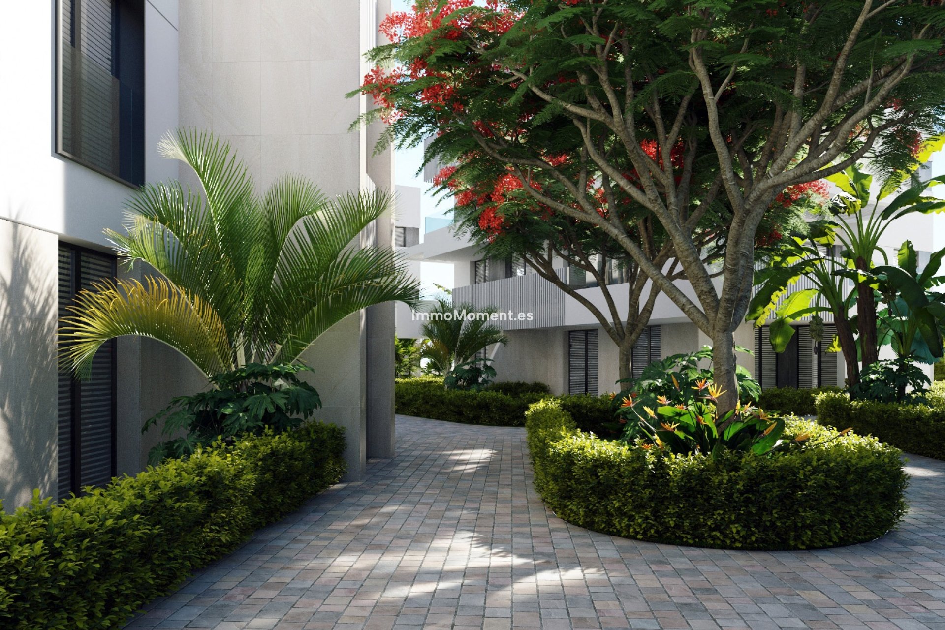 Construction neuve - Penthouse - Santa Rosalía