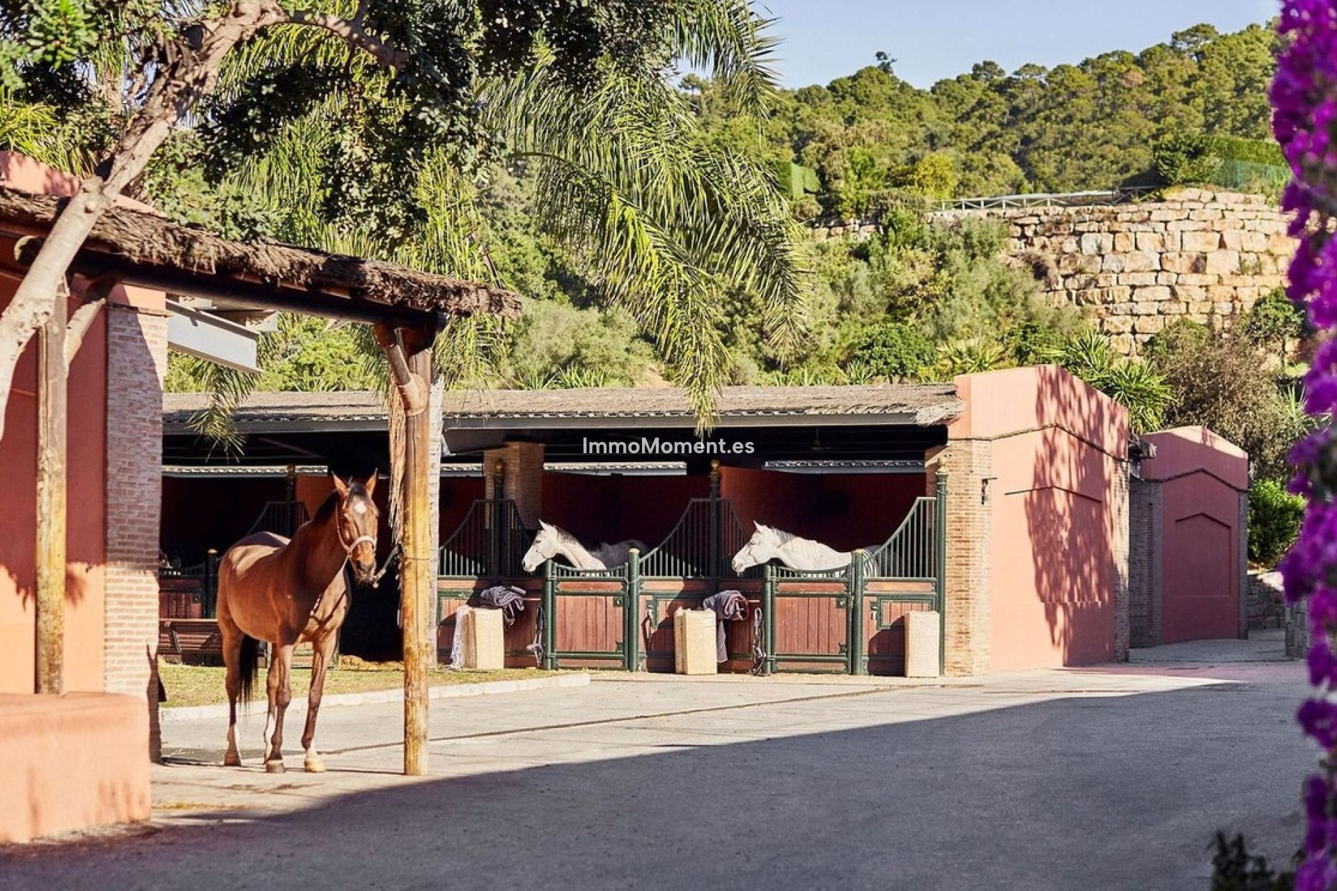 Construction neuve - Terrain - Benahavís - Benahavís Centro