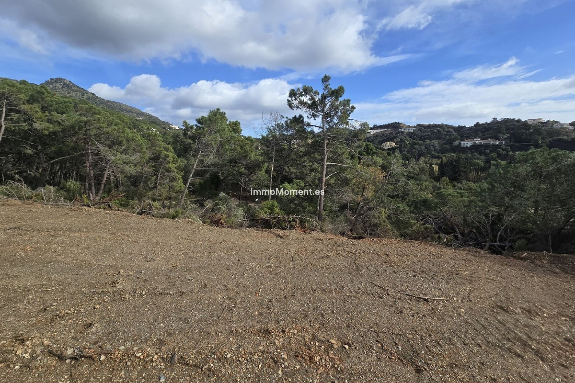 Construction neuve - Terrain - Benahavís - Benahavís Centro
