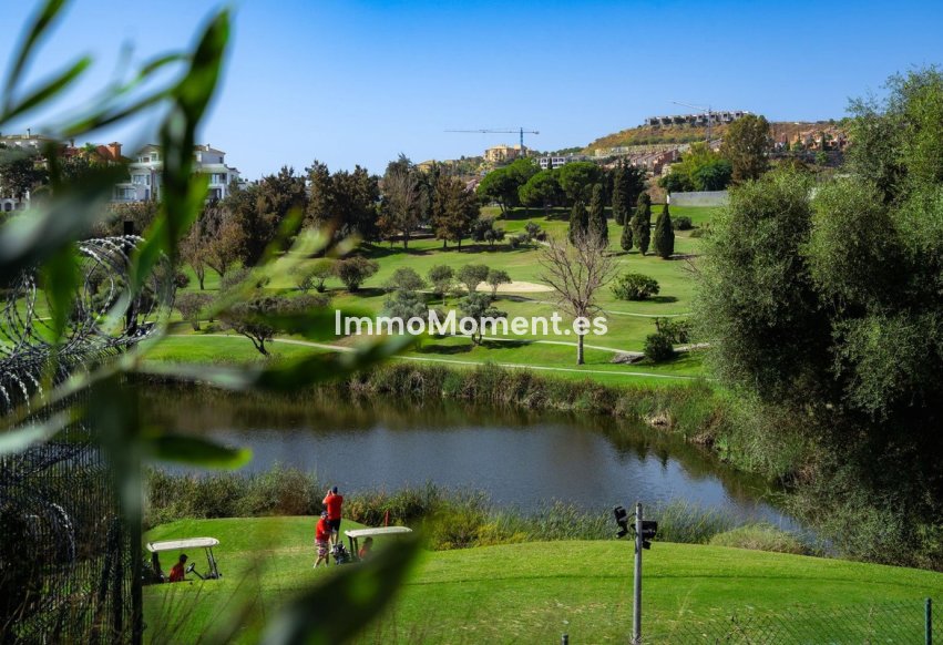 Construction neuve - Terrain - Estepona  - New Golden Mile