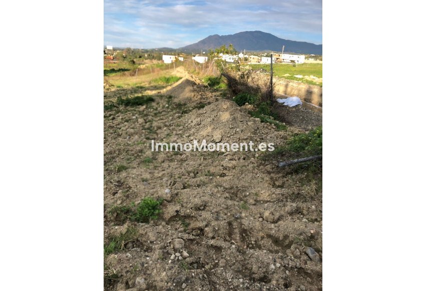 Construction neuve - Terrain - Estepona  - Selwo