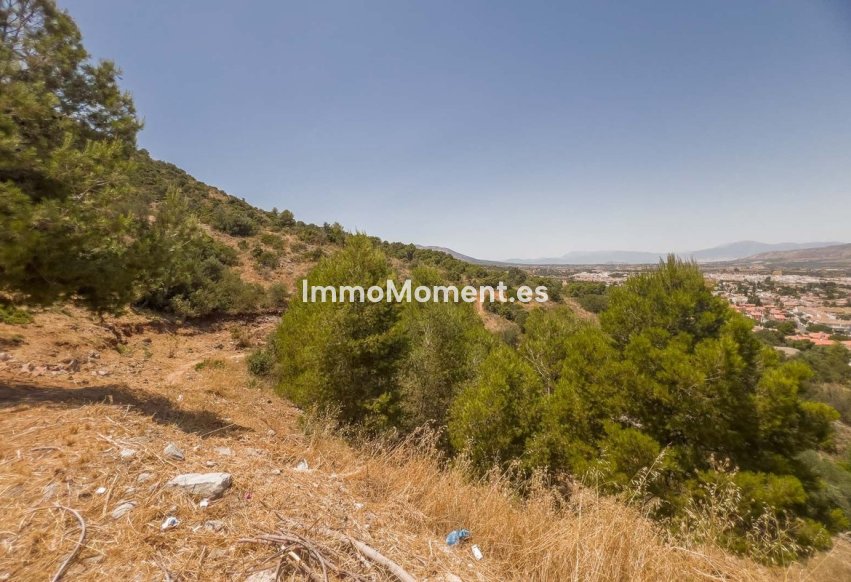Construction neuve - Terrain - Intérieur                       - Alhaurín de la Torre