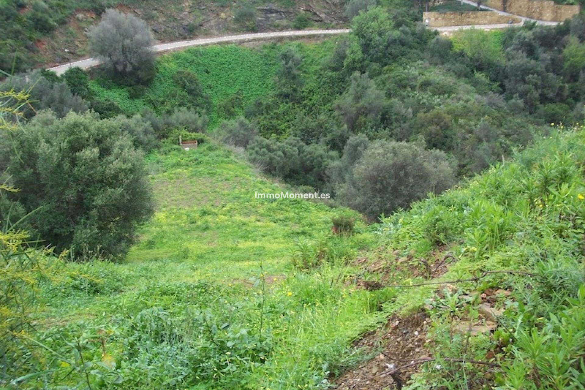 Construction neuve - Terrain - Marbella - El Rosario