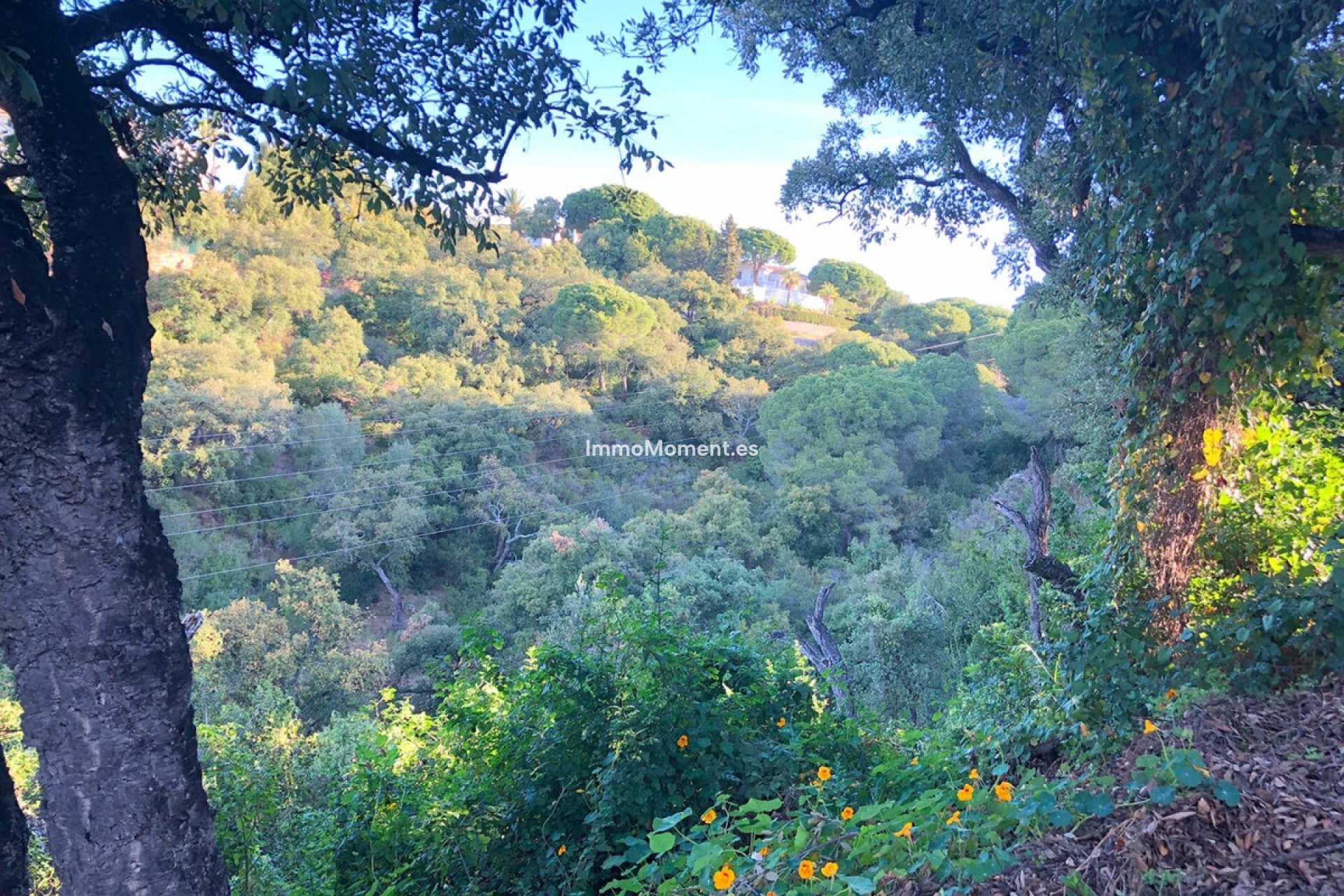 Construction neuve - Terrain - Marbella - Elviria