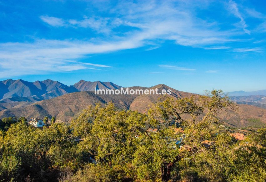 Construction neuve - Terrain - Marbella - La Mairena