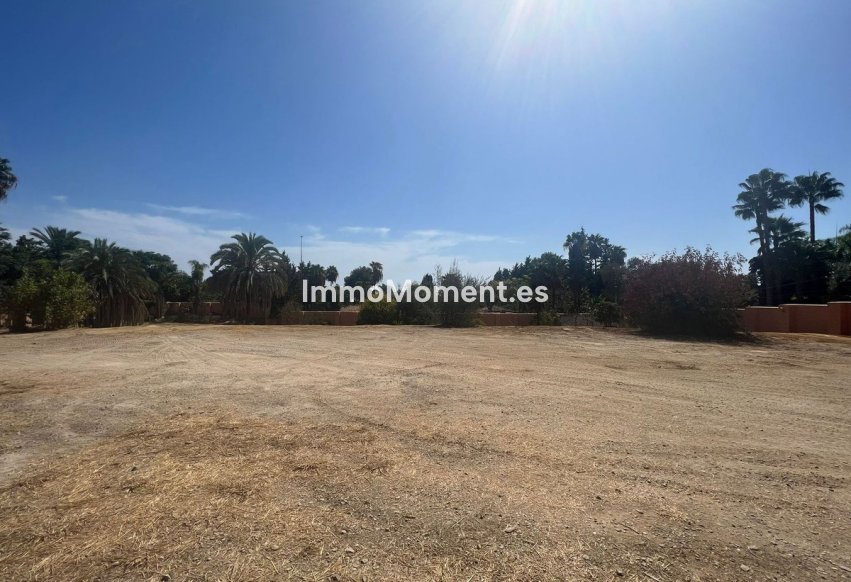 Construction neuve - Terrain - Marbella - Nagüeles