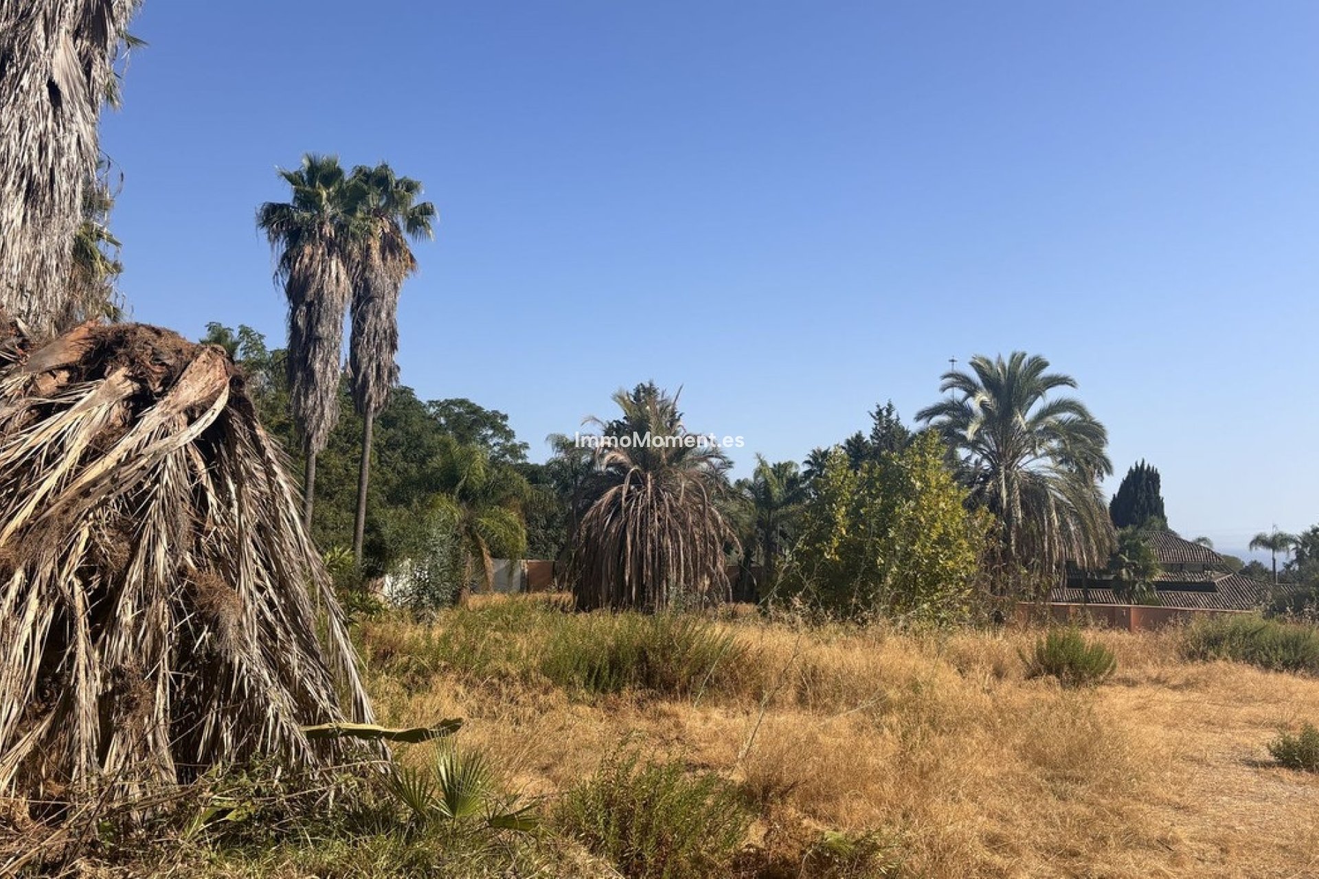 Construction neuve - Terrain - Marbella - The Golden Mile