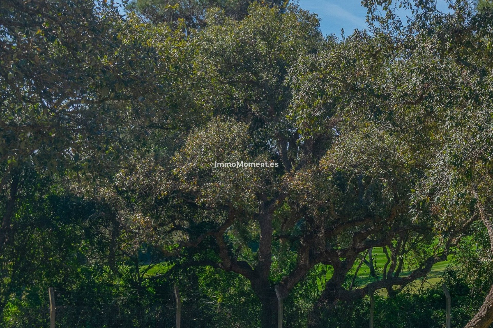 Construction neuve - Terrain - Sotogrande - Sotogrande Alto