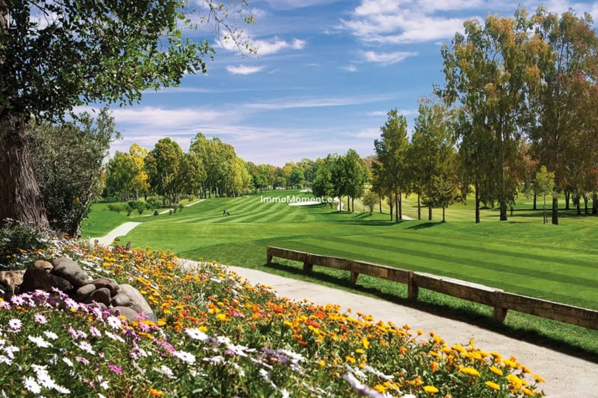 Construction neuve - Villa - Estepona  - Estepona