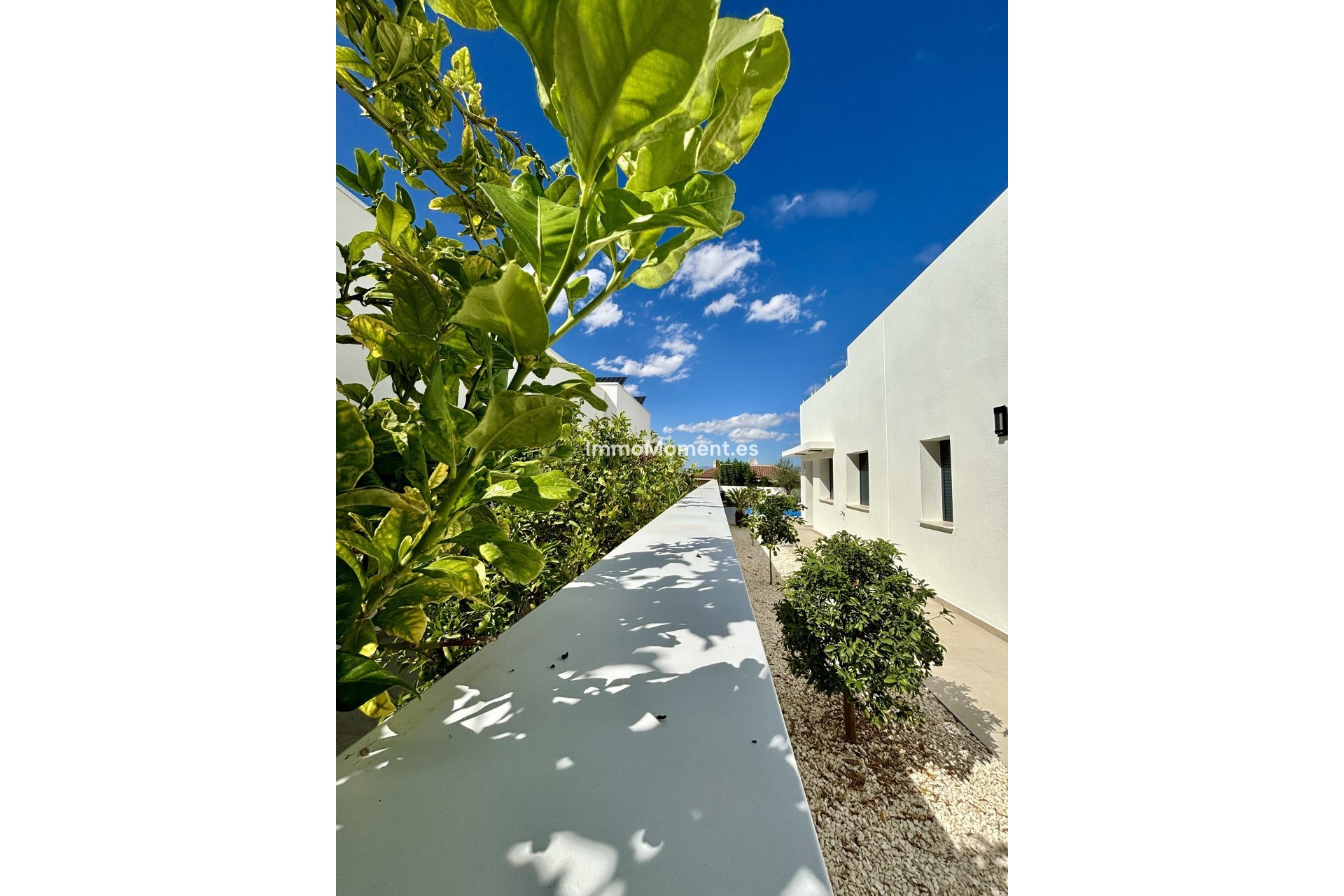 Construction neuve - Villa individuelle - Benijofar