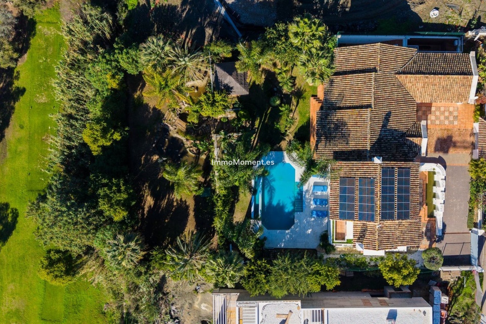 Construction neuve - Villa individuelle - Estepona  - New Golden Mile