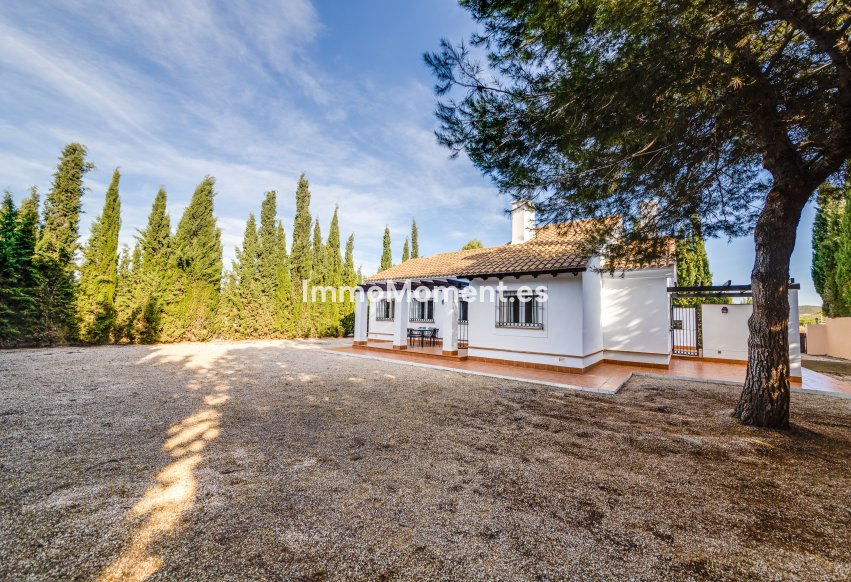 Construction neuve - Villa individuelle - Fuente Alamo