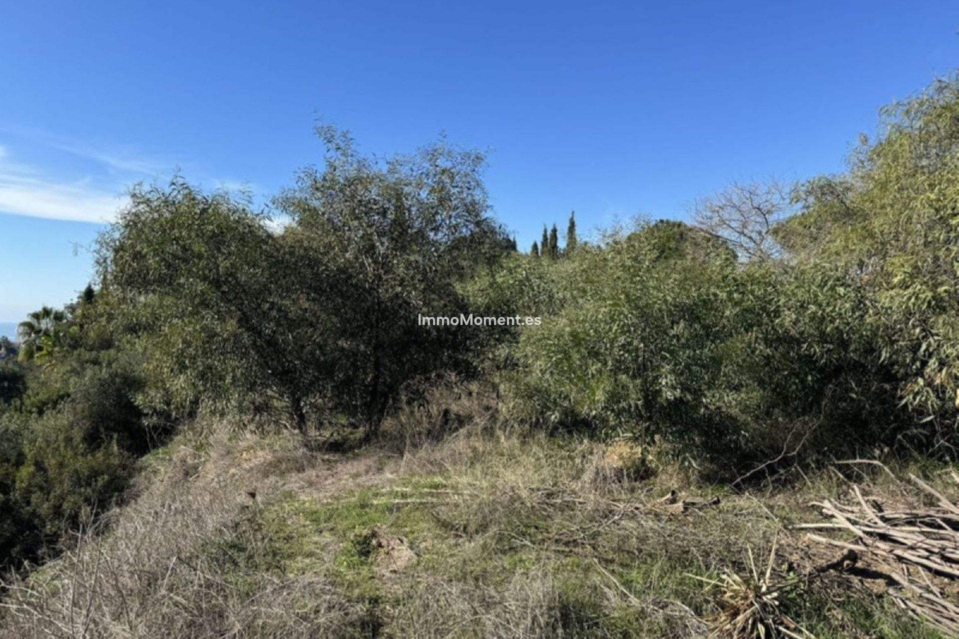 Construction neuve - Villa - Marbella - Elviria