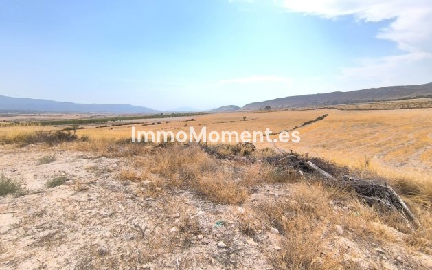 Country house - Resale - Jumilla - Jumilla Centro
