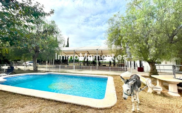 Country house - Resale - Orihuela - Orihuela Centro