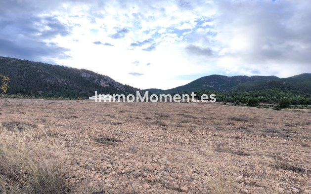 Country house - Resale - Yecla - RSO-88816