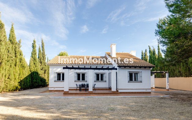 Detached villa - New Build - Fuente Alamo - Fuente Alamo