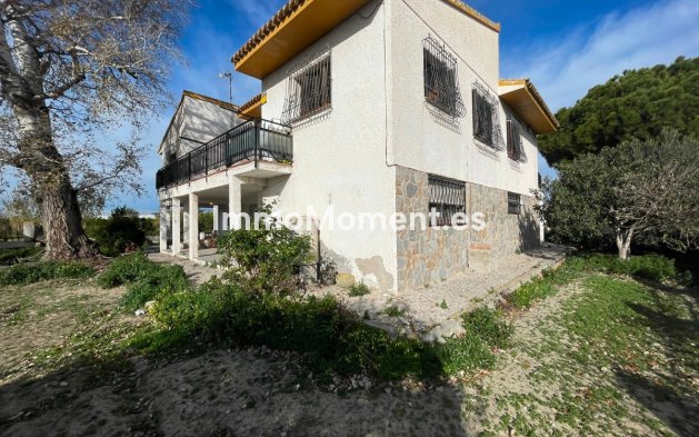 Detached villa - Resale - Benejúzar - Benejuzar Centro