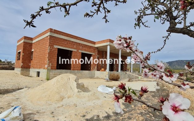 Detached villa - Resale - Pinoso - Pinoso Centro