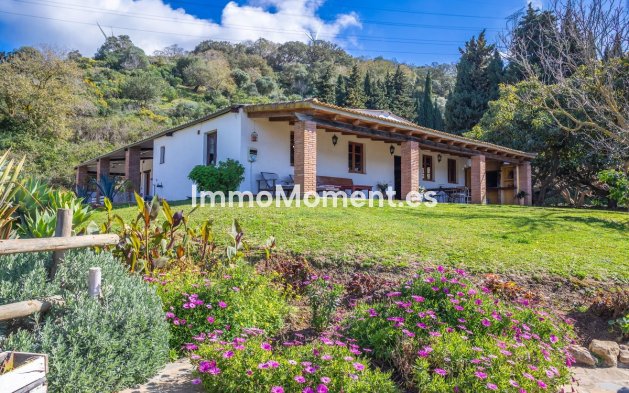 Freistehende Villa - Wiederverkauf - Casares - Casares Centro