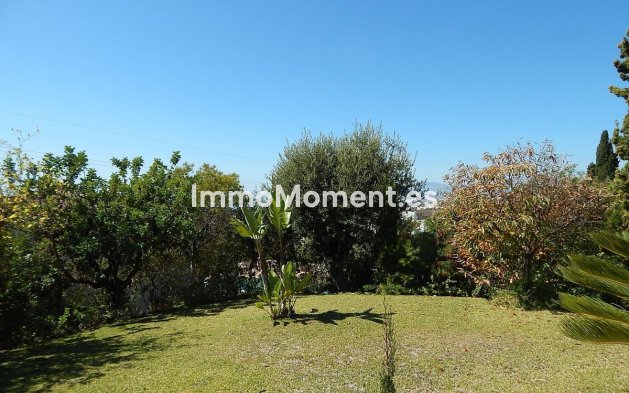Grond - Bestaande woning - Marbella - RSO-15148