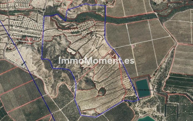 Grundstück - Wiederverkauf - Orihuela - Torremendo