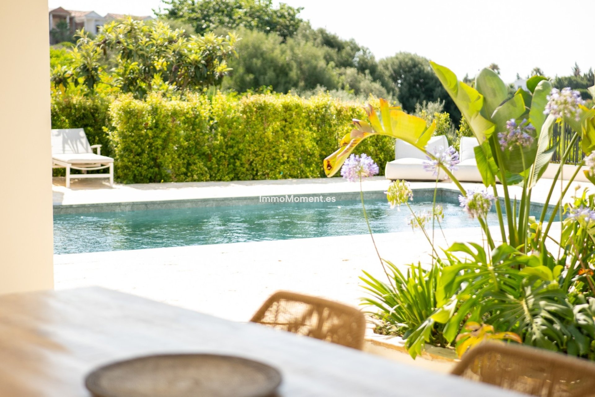 Kurzzeitvermietung - Freistehende Villa - Estepona  - El Padron