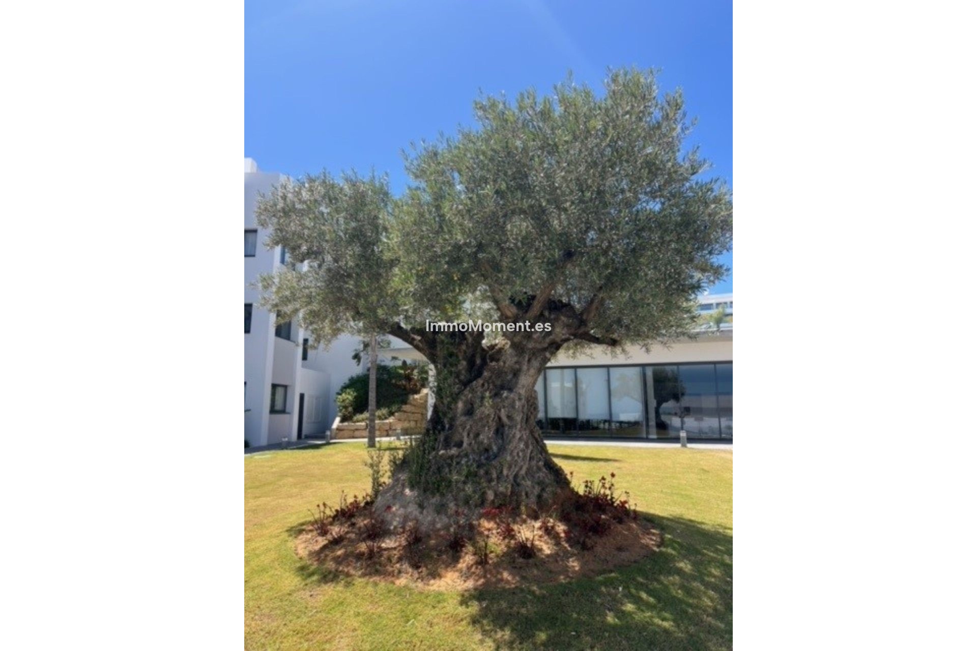 Kurzzeitvermietung - Wohnung - Manilva