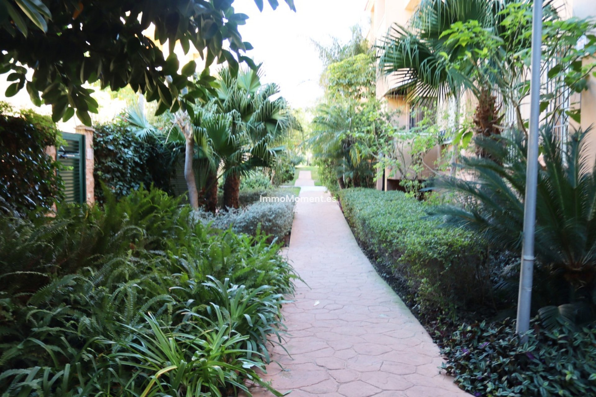 Kurzzeitvermietung - Wohnung - Marbella - Carib Playa