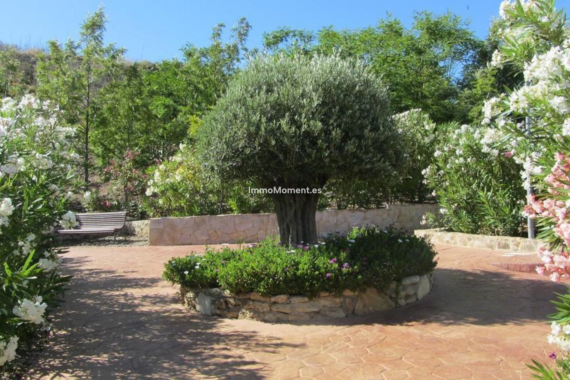 Kurzzeitvermietung - Wohnung - Mijas - Mijas Costa