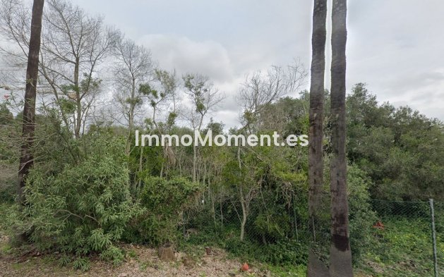 Land - Neubau - Sotogrande - Sotogrande Alto