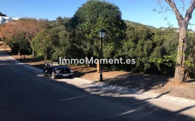 Land - Resale - Sotogrande - Sotogrande Alto