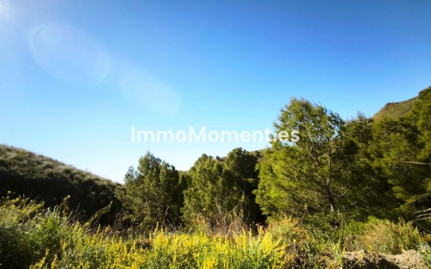 Land - Wiederverkauf - Lorca - Lorca Centro
