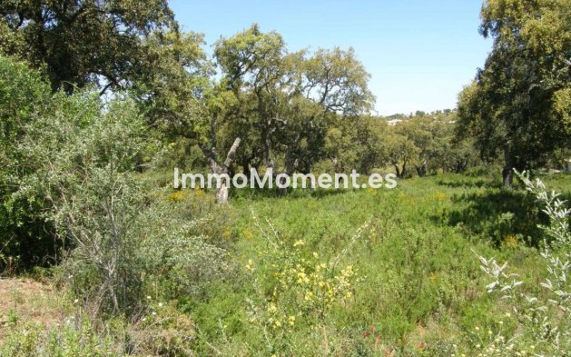 Land - Wiederverkauf - Sotogrande - San Roque Club