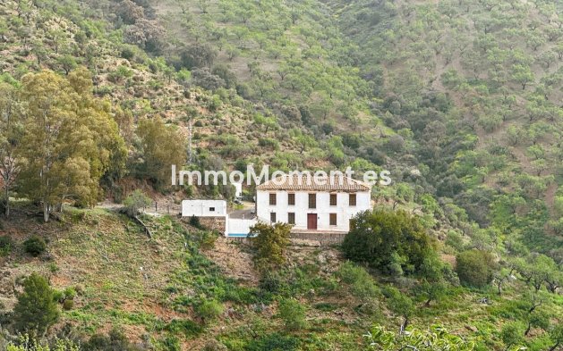 Landhaus - Wiederverkauf - Málaga - Pinares de San Antón
