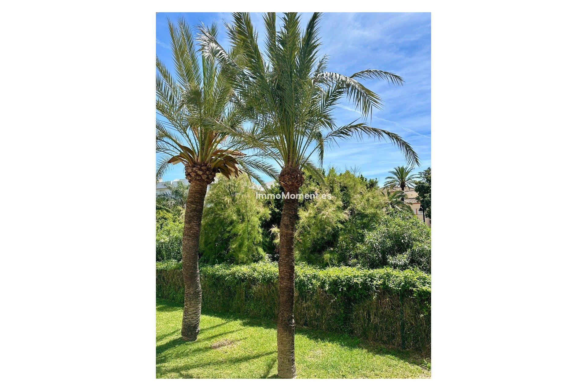 Lange termijn verhuur - Appartement - Estepona  - Estepona Centro
