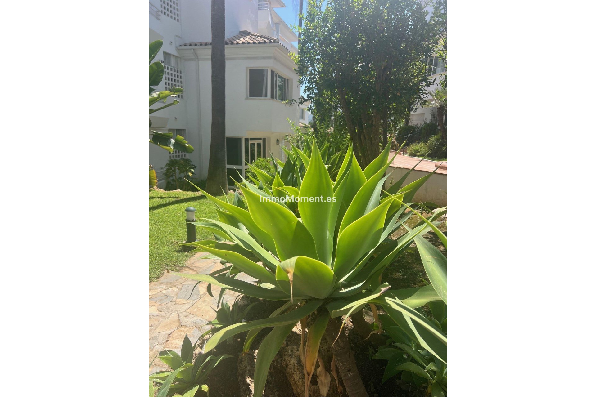 Langzeitvermietung - Wohnung - Marbella - Guadalmina Baja