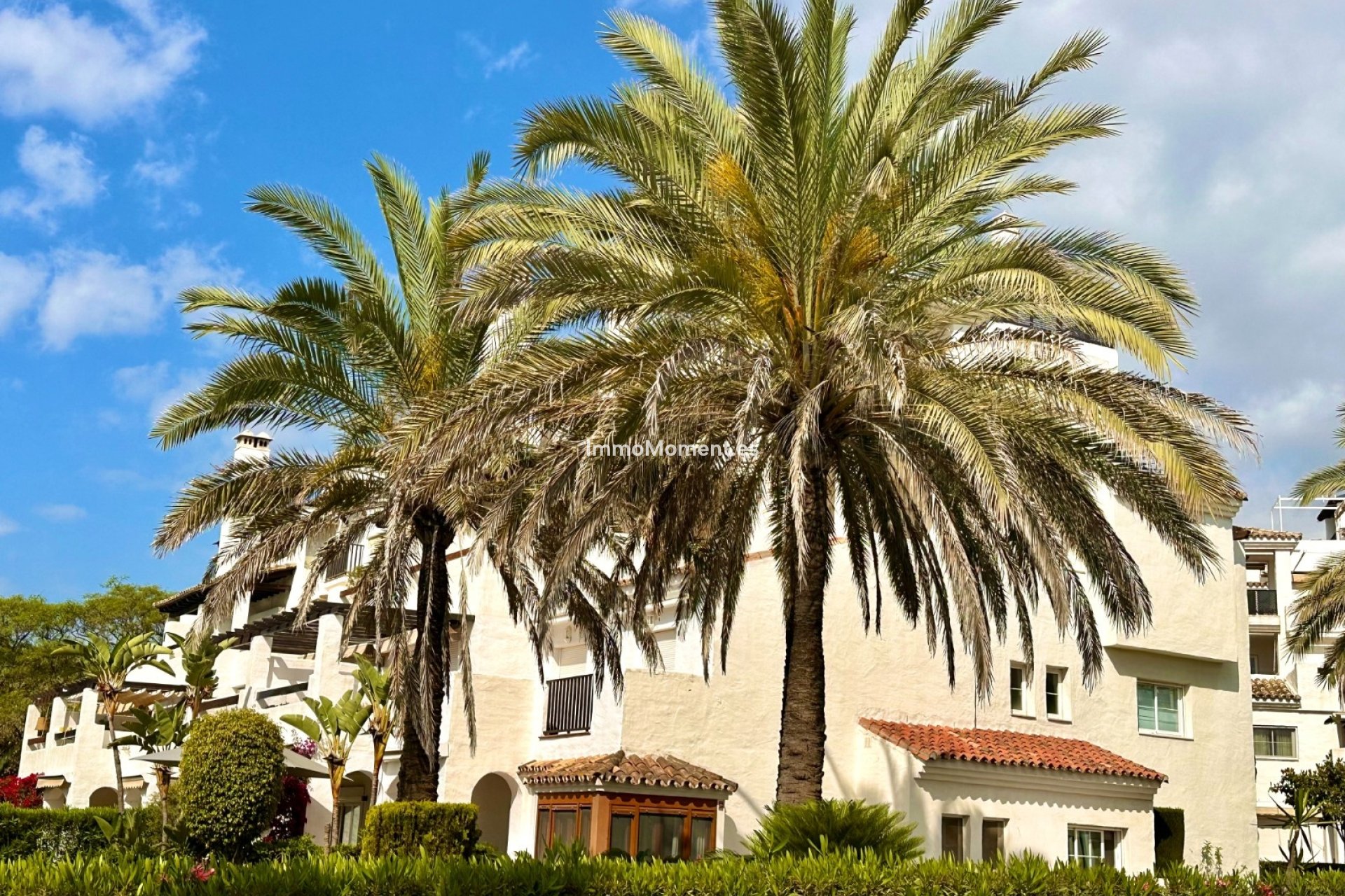 Langzeitvermietung - Wohnung - San Pedro de Alcántara