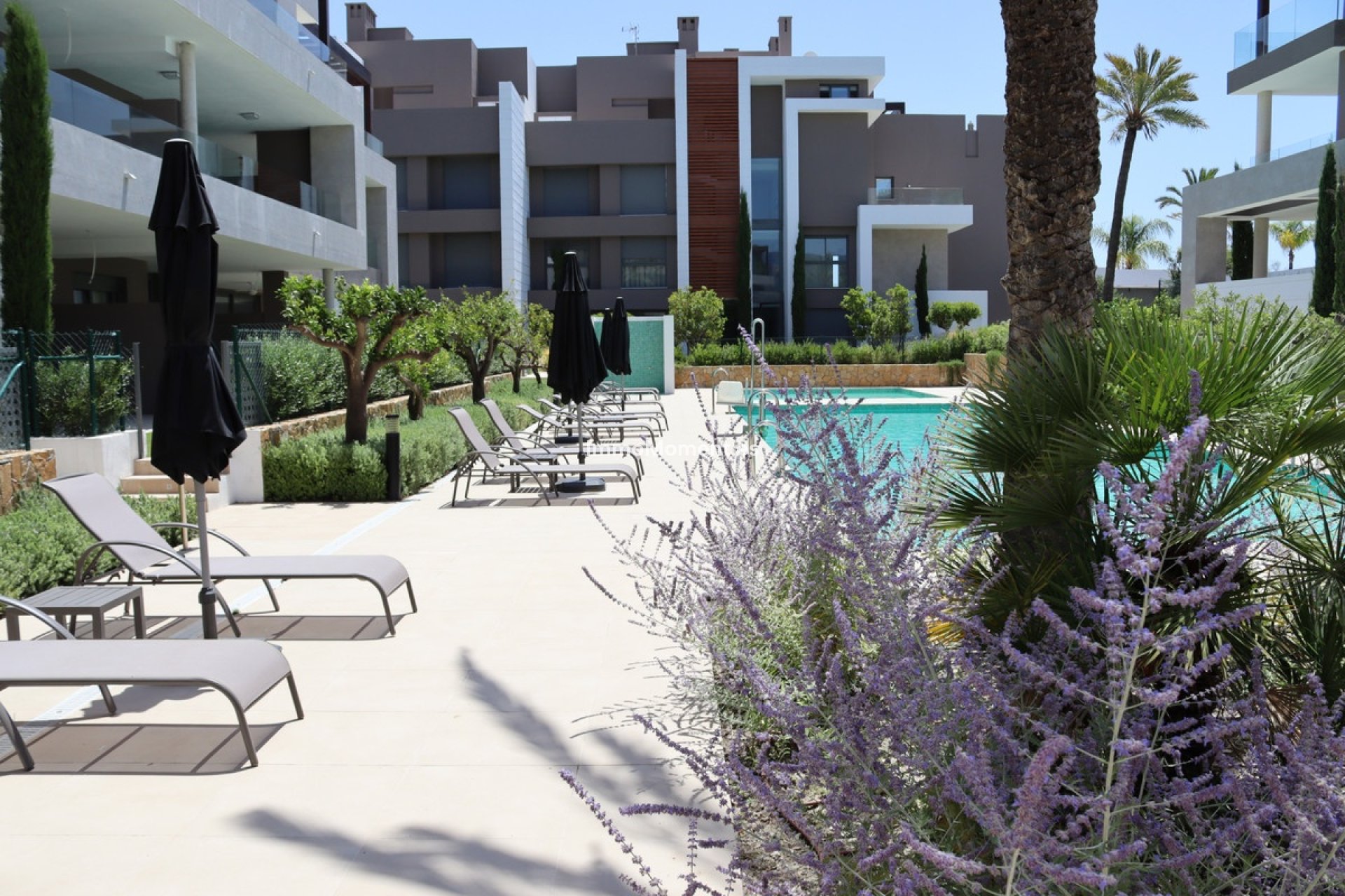 Location de courte durée - Penthouse - Estepona  - Cancelada