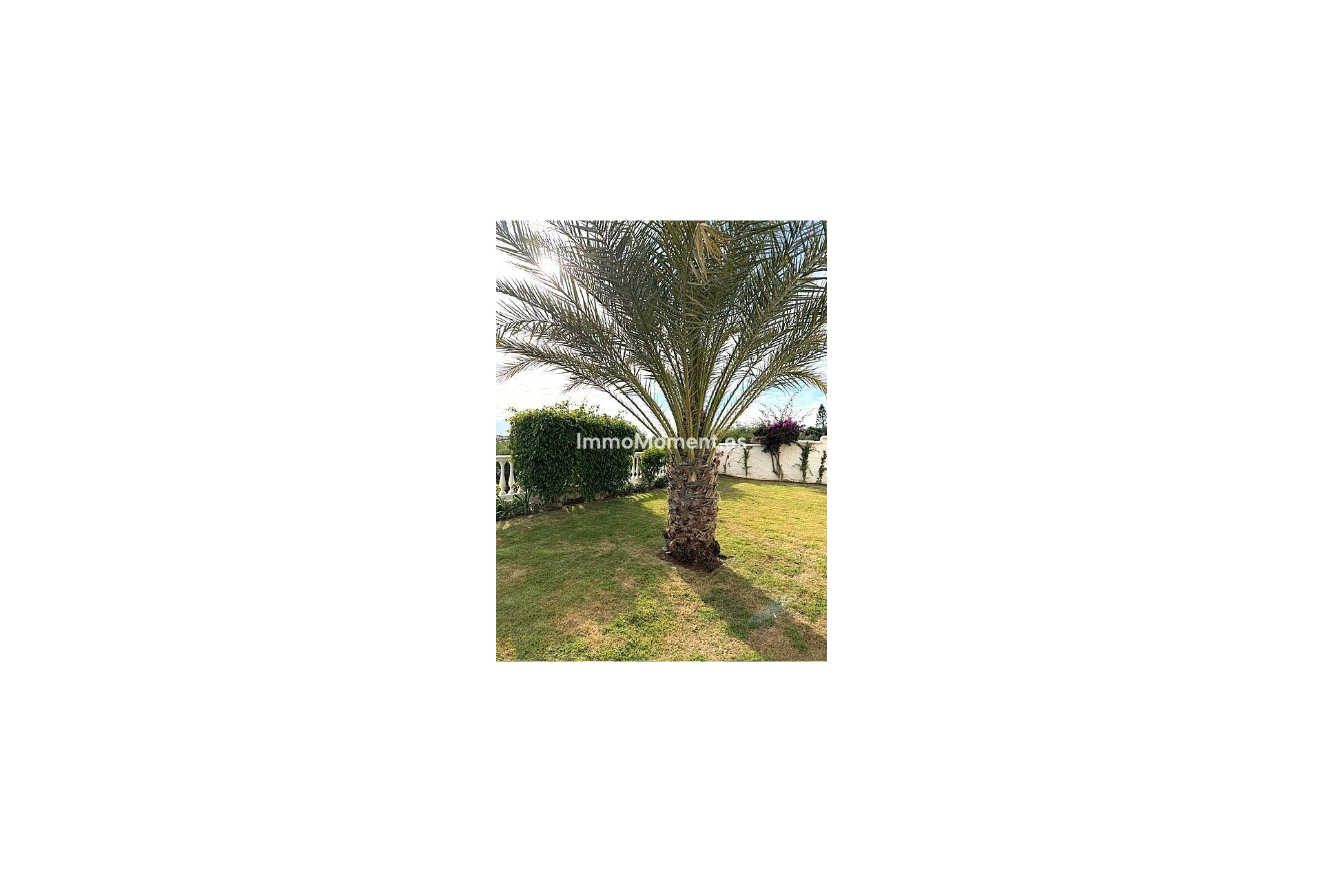 Location de courte durée - Villa individuelle - Estepona  - El Padron