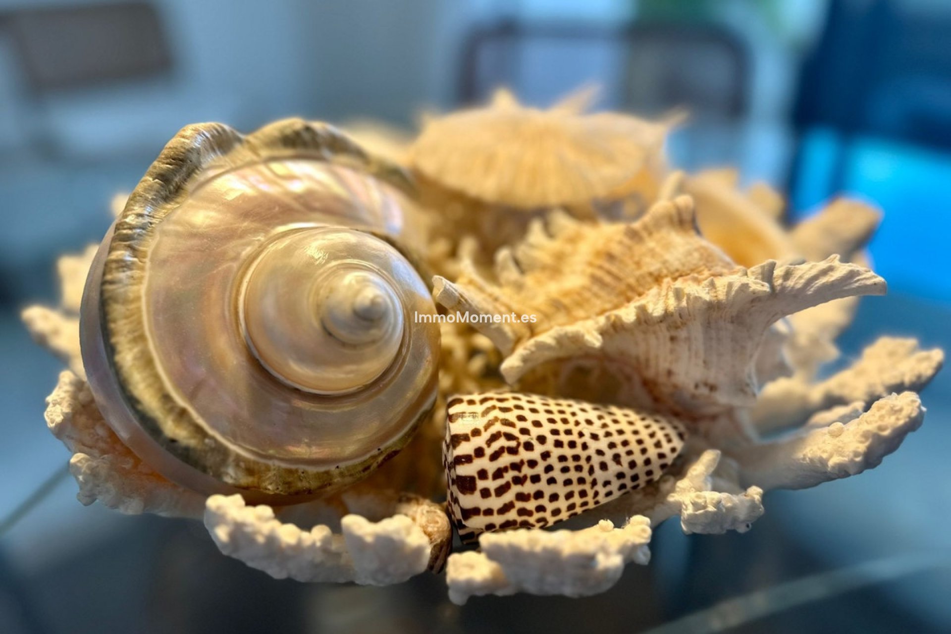 Location de longue durée - Appartement - Marbella - Puerto Banús