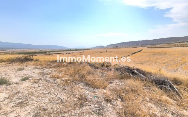 Maison de campagne - Revente - Jumilla - Jumilla Centro