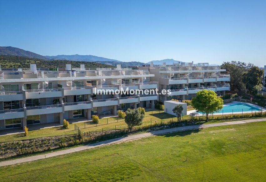 Neubau - Ground-floor - Estepona  - Estepona