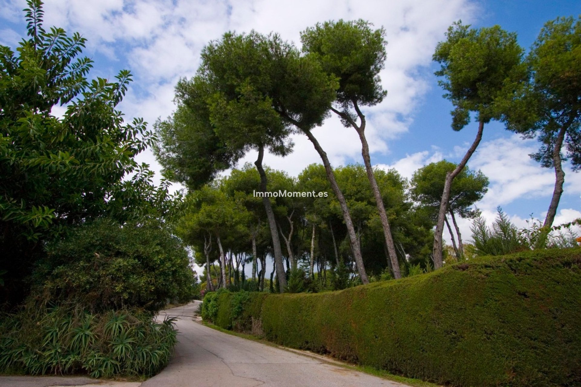 Neubau - Grundstück - Marbella - La Mairena